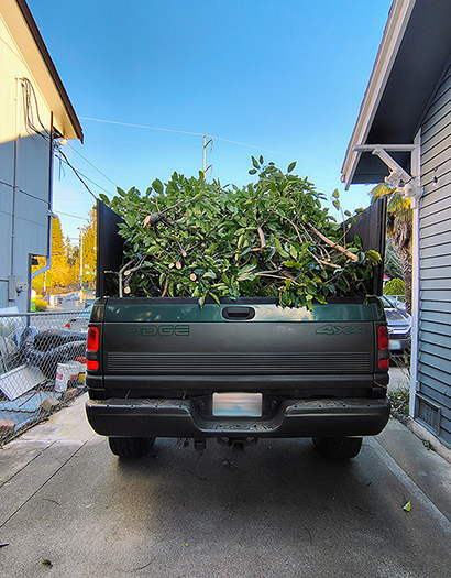 Big Green Junk Removal Yard Waste in West Seattle