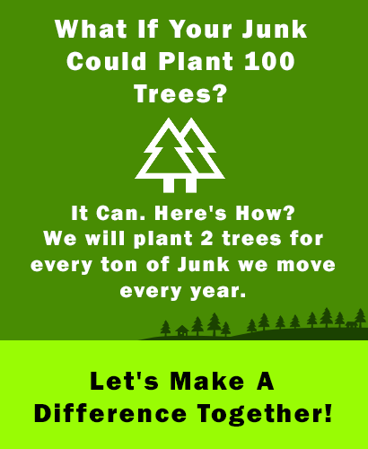 What If Your Junk Could Plant 100 Trees? Every Year We Will Plant 2 Trees for every Ton of Junk We Pickup